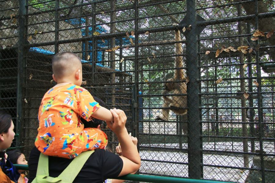 Các gia đình có con nhỏ nên chú ý 