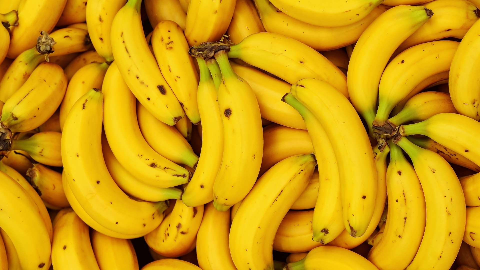 Bananas are a popular, easy-to-use and highly nutritious fruit. Photo: Dinh Dinh