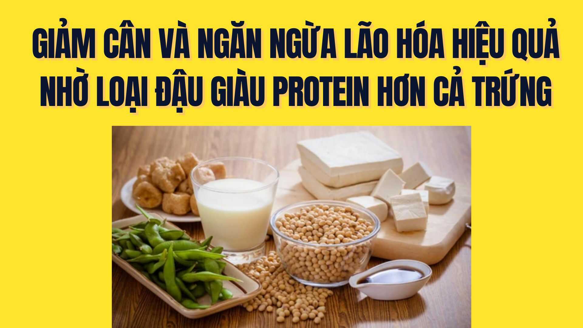 Effective weight loss and aging prevention thanks to beans richer in protein than eggs