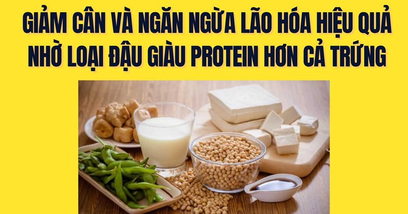 Effective weight loss and aging prevention thanks to beans richer in ...