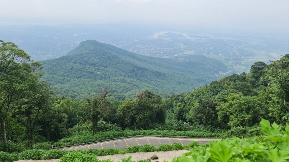 Transferring Ba Vi National Park to Hanoi City People's Committee for management. Photo: Phuong Anh