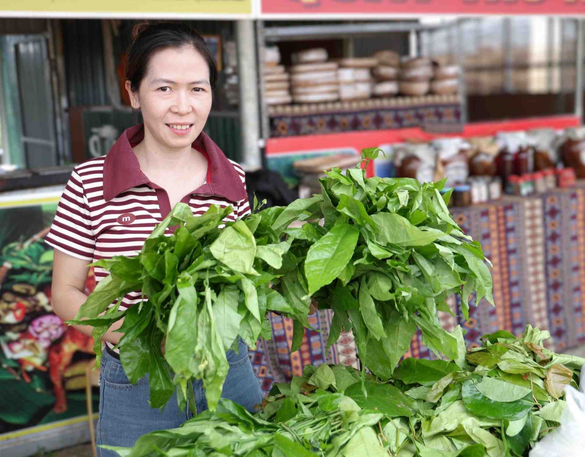 Wild ngot vegetables have become a specialty favored by consumers, contributing to bringing income to people in the highlands of Quang Ngai. Photo: Thanh An