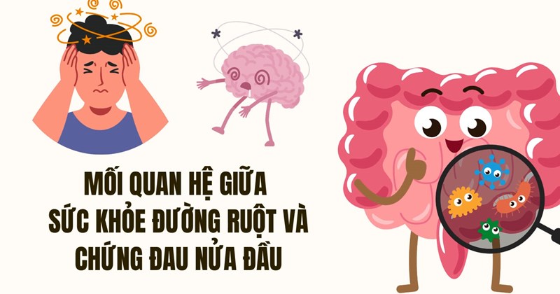 Sức khỏe đường ruột và mối liên hệ với chứng đau nửa đầu