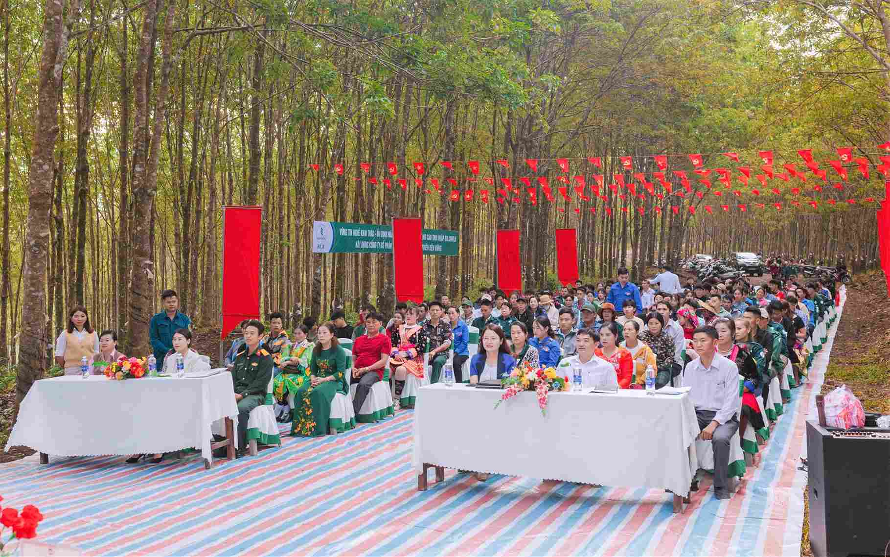 Xã Bảo Lâm 5 tổ chức hội nghị gặp gỡ người dân ngay dưới rừng cao su tỏa bóng mát. Ảnh: Phúc Khánh 