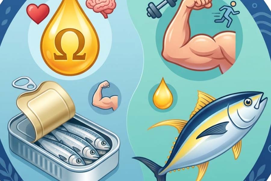 Sardines and tuna: Which are richer in omega-3 and protein. Graphics: Thien Nhan