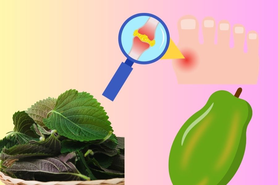 Safely lower uric acid with 2 popular traditional medicine plants