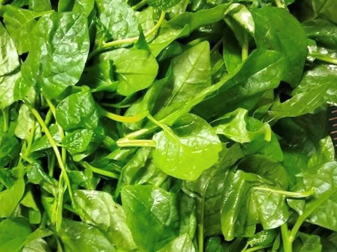 Malabar spinach is a vegetable that is abundant in summer, rich in magnesium, which helps strengthen health. Photo: Kieu Vu
