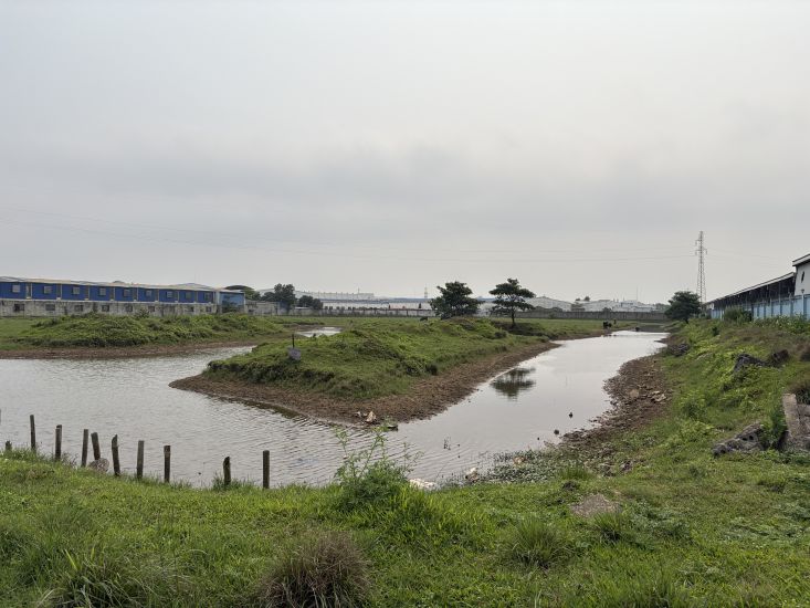 A part of the land area in My Trung Industrial Park is currently being used for fish farming. Photo: Bao Han