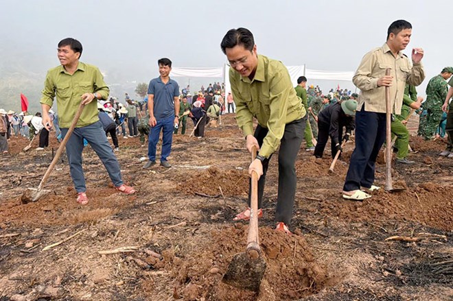 Cán bộ và nhân dân xã Sín Thầu, tỉnh Điện Biên tổ chức ra quân đào hố trồng cây cà phê, mắc ca. Ảnh: Quang Đạt