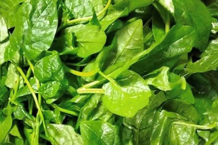 Notes when eating Malabar spinach to maximize its uses