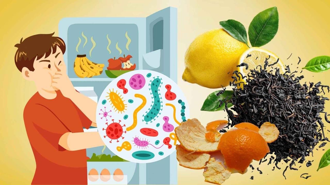 5 quick tips to quickly deodorize the refrigerator with things available at home