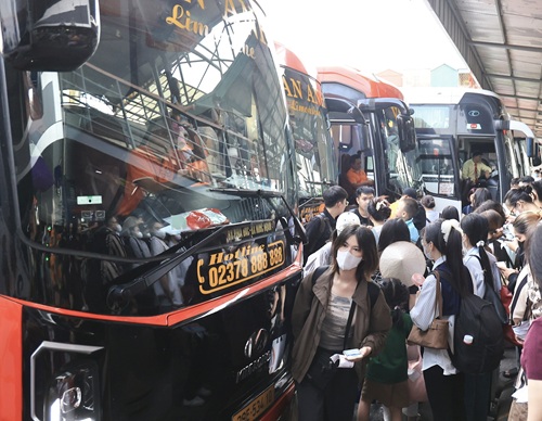Gasoline prices decrease, freight rates remain high, creating pressure for passengers. Photo by Ta Hai