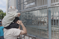 Hanoi Zoo crowded with people on the first day of the 30th holiday