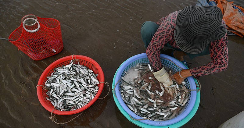 Vẻ đẹp biển đêm