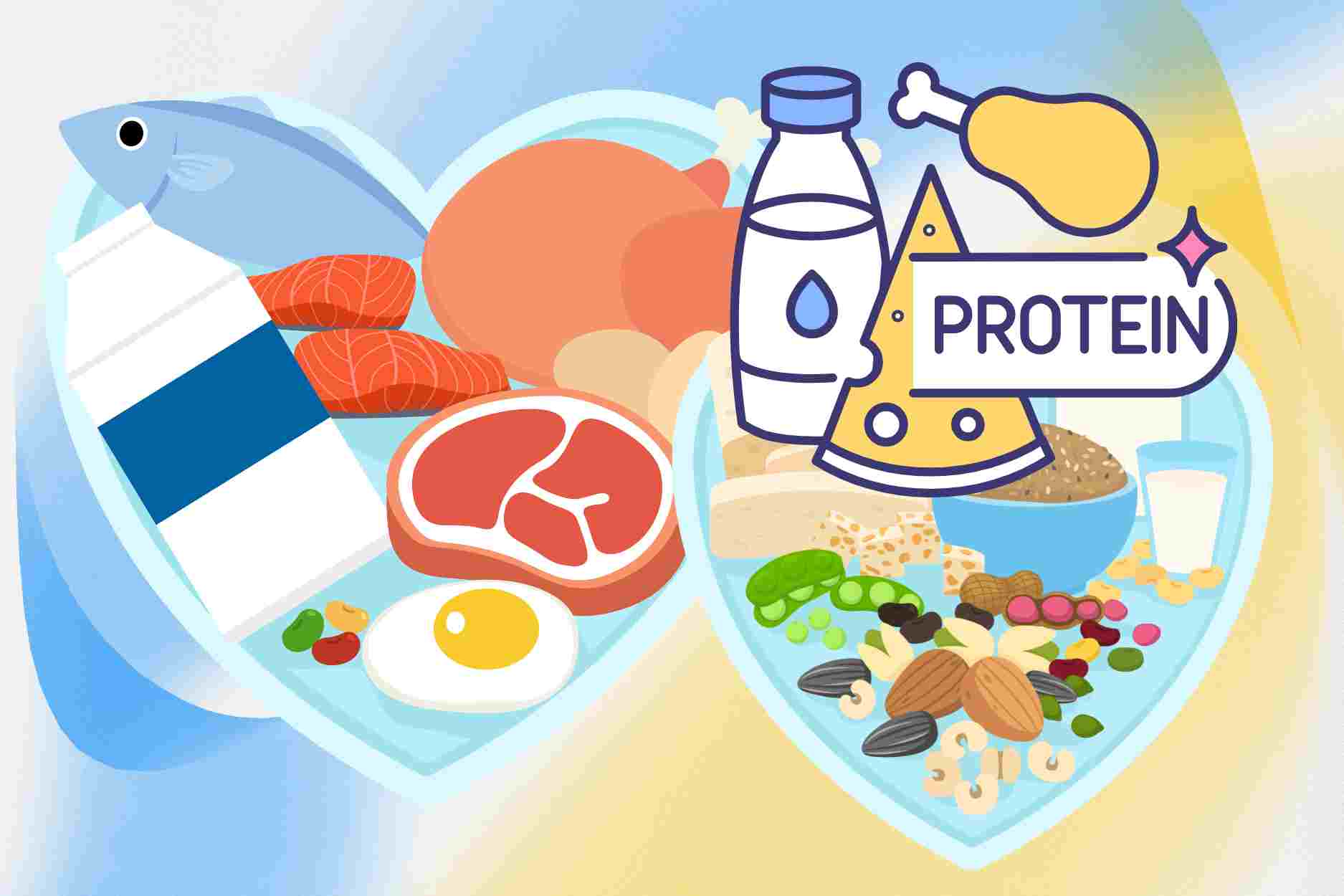 Notes on plant and animal proteins when developing muscle