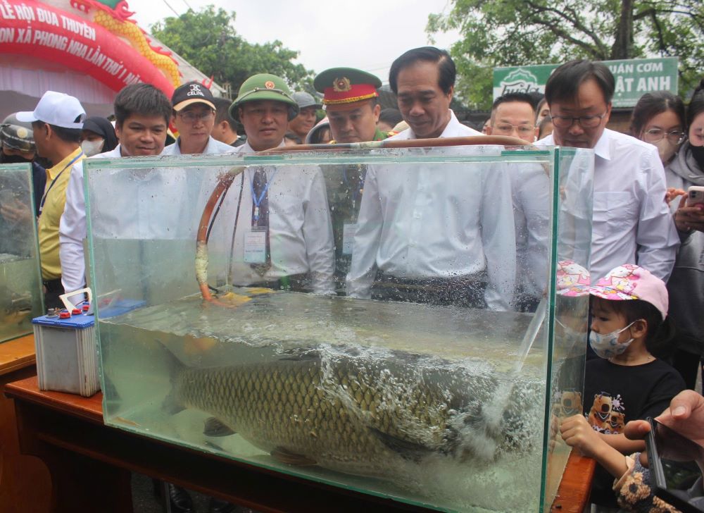 Son River carp competition attracts a large number of people and tourists to participate. Photo: Thanh Trung