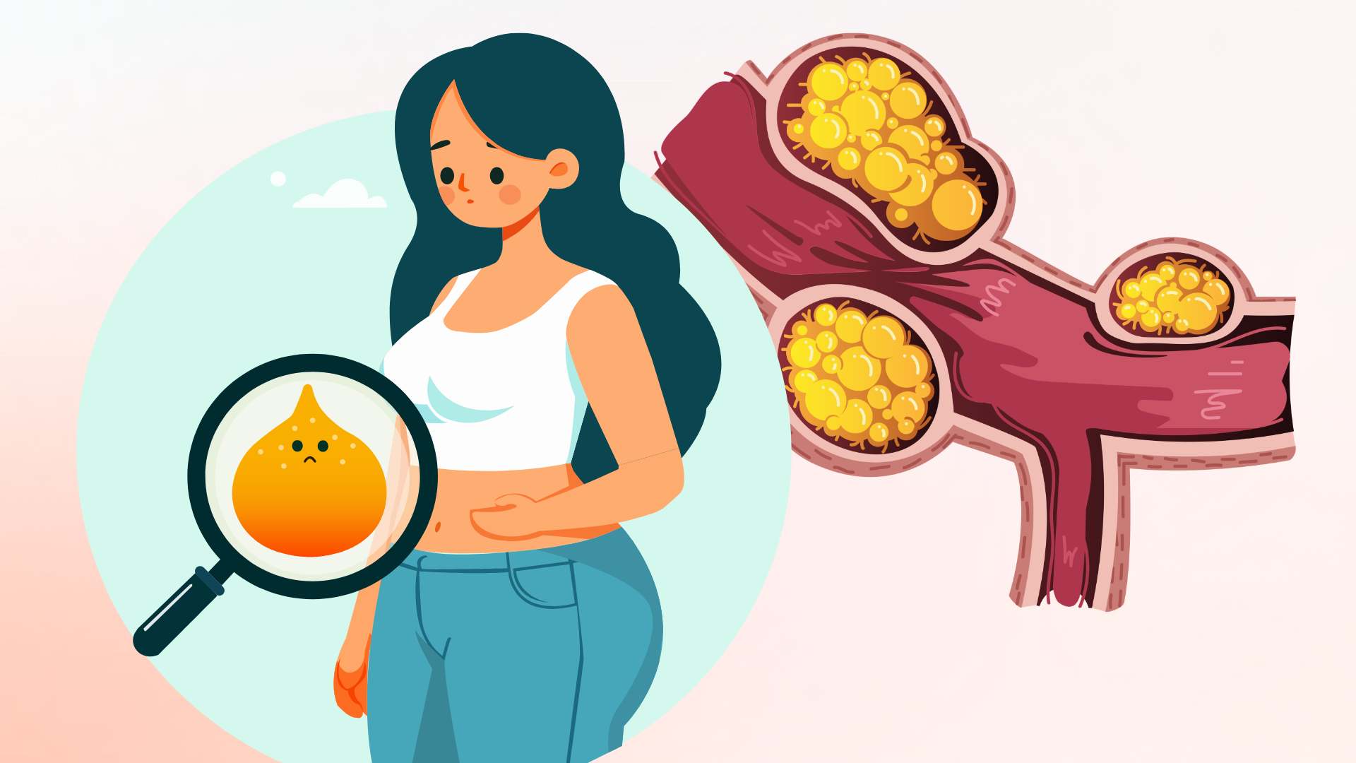 Notes you need to know to successfully and safely reduce belly fat