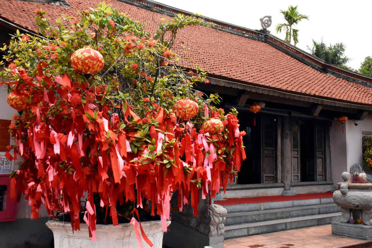 Những dải lụa may mắn được du khách viết điều ước vào rồi treo trên cây ngay trước miếu Vua Bà. Ảnh: Nguyễn Huệ