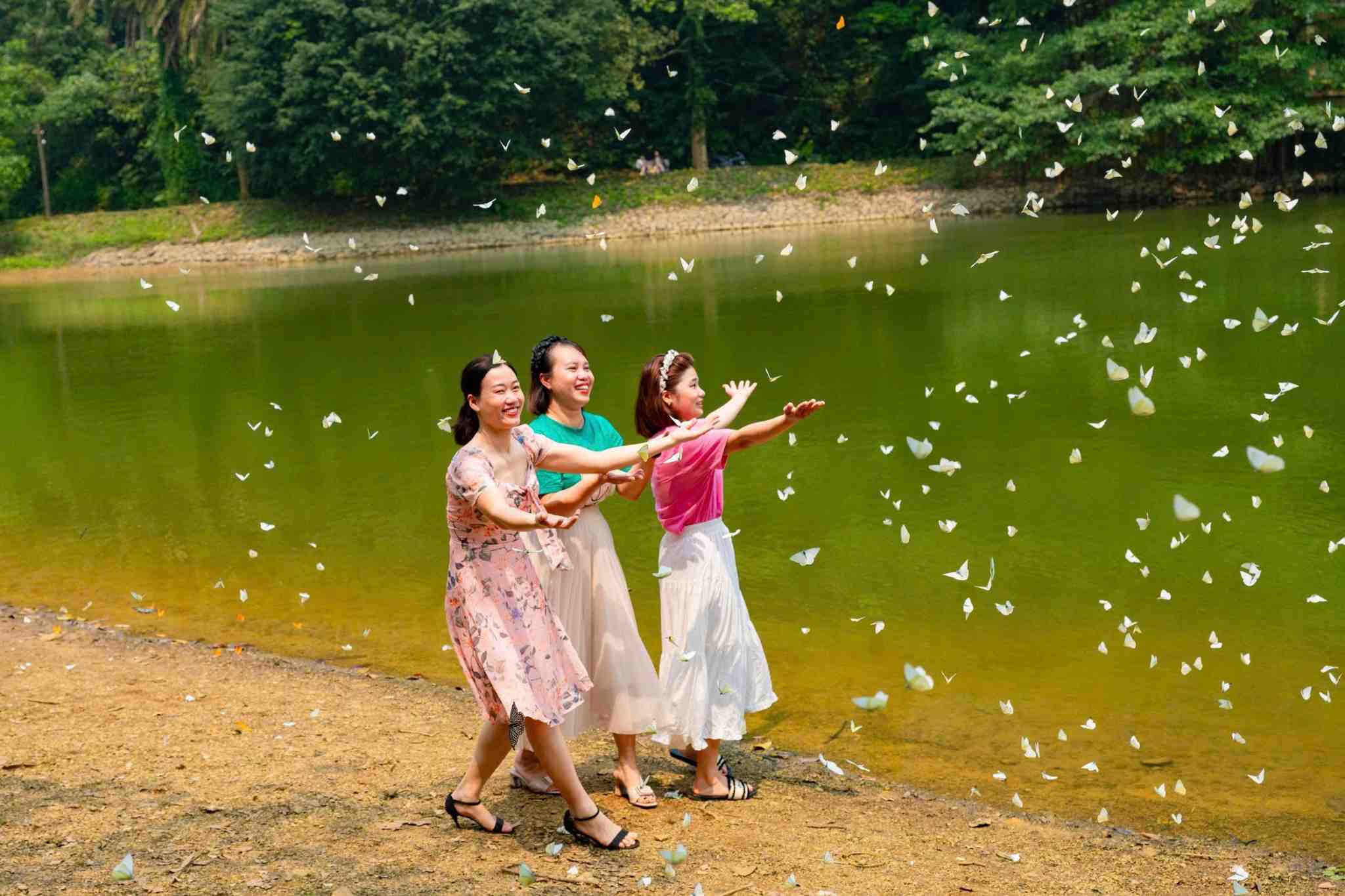 Tourists are excited about the fragile butterflies in Cuc Phuong National Park in Ninh Binh. Photo: Dieu Anh
