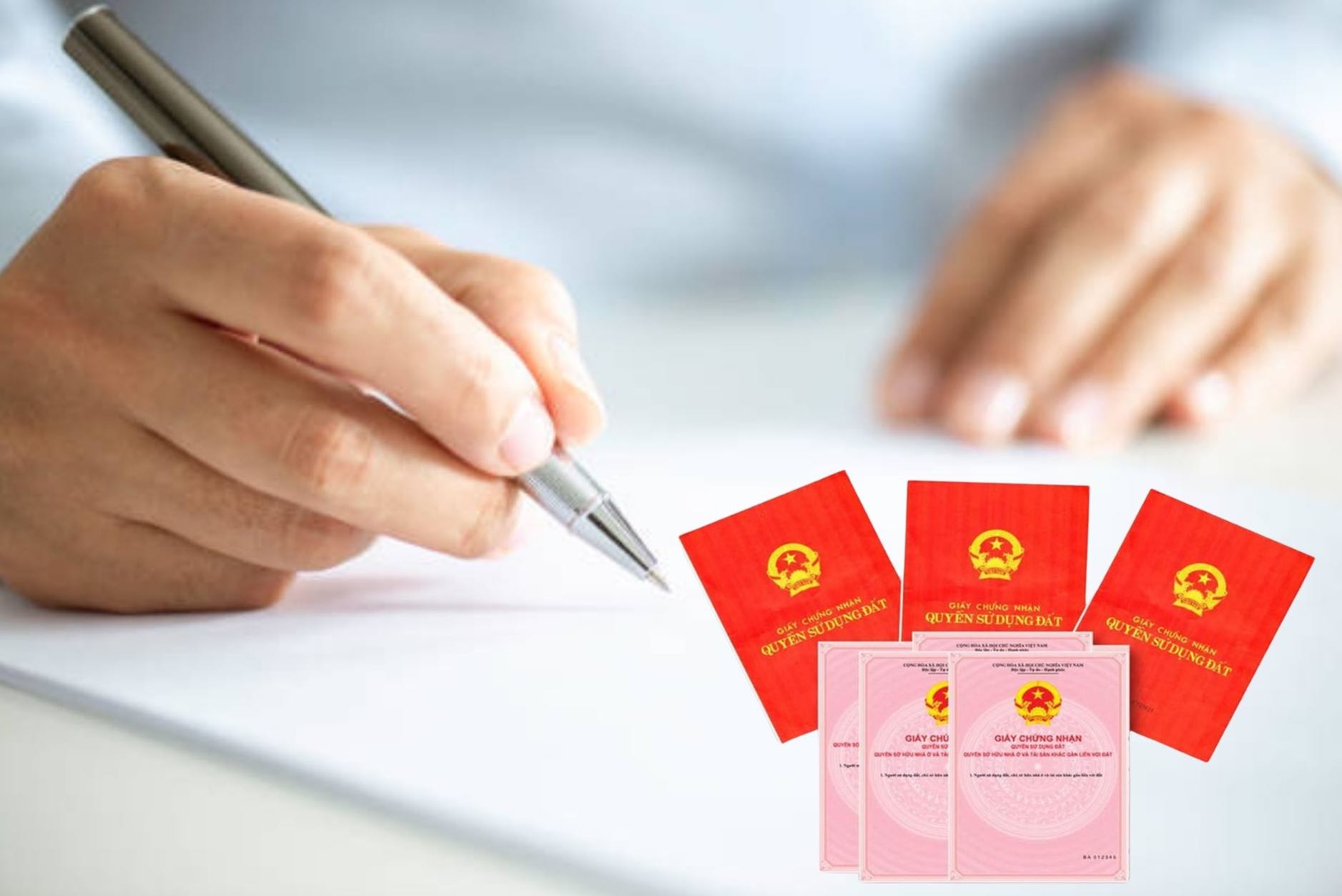 Xác định nguồn gốc sử dụng đất làm căn cứ cấp sổ đỏ cho người dân. Đồ họa: Vy Vy