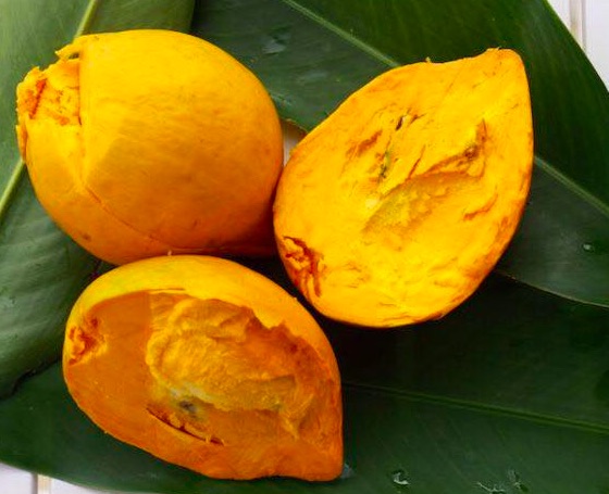 Le Ki Ma fruit supports cardiovascular health and good digestion. Photo: Ngoc Le