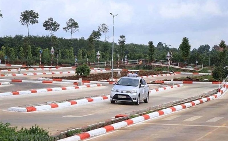 Cases where driving practice teacher certificates are revoked