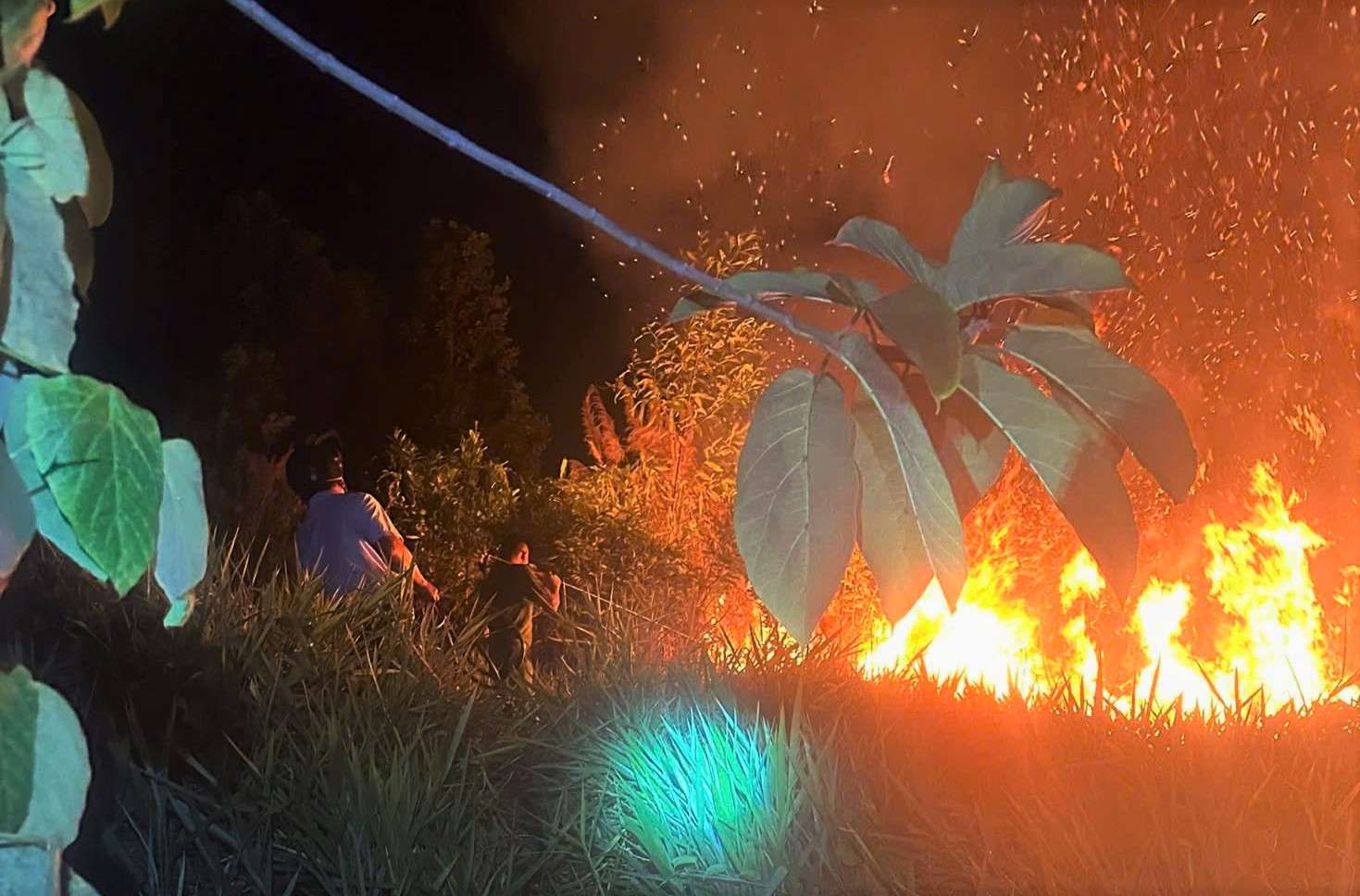 Lửa bùng phát từ bãi rác cháy lan qua vườn sầu riêng của các hộ dân. Ảnh: Phúc Khánh 