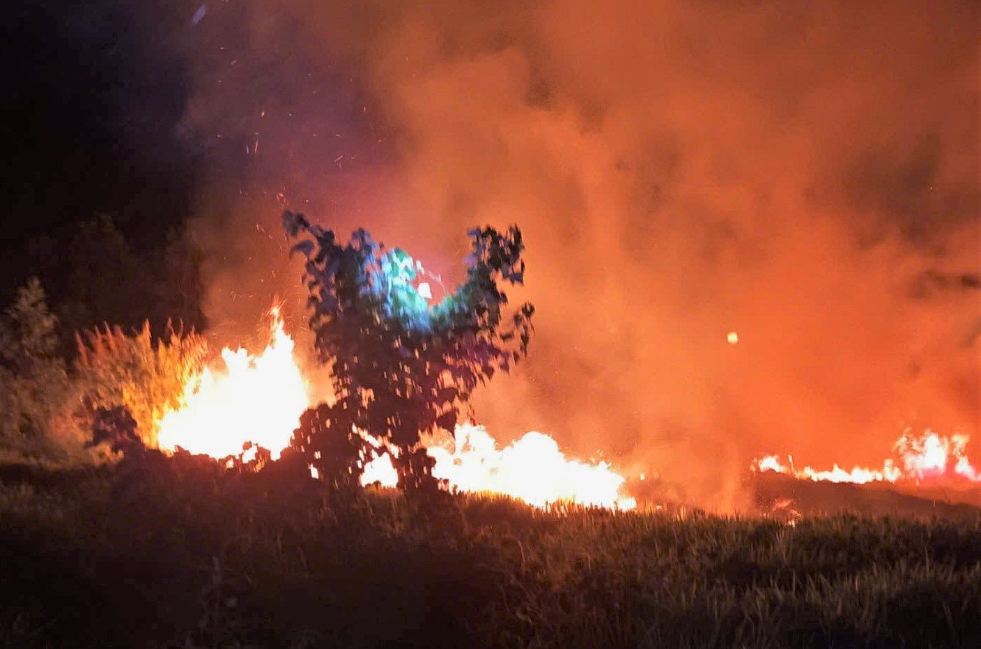 The fire broke out fiercely from the landfill, spreading through the durian gardens of 2 households. Photo: Phuc Khanh