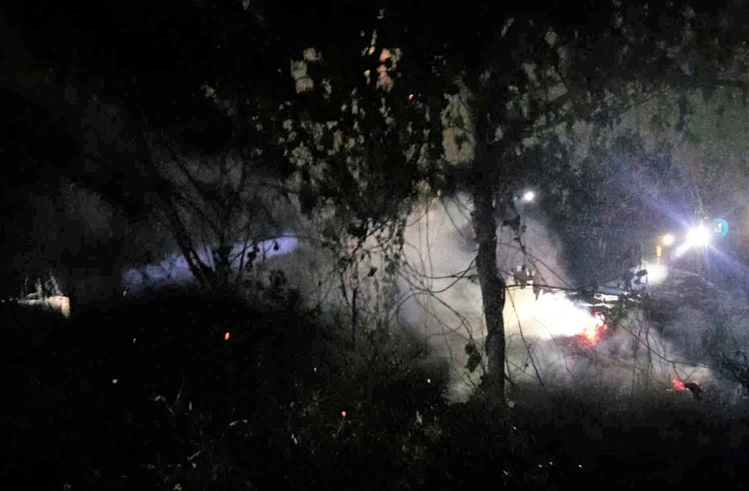 Vụ cháy khiến nhiều cây sầu riêng của người dân bị ảnh hưởng. Ảnh: Phúc Khánh 