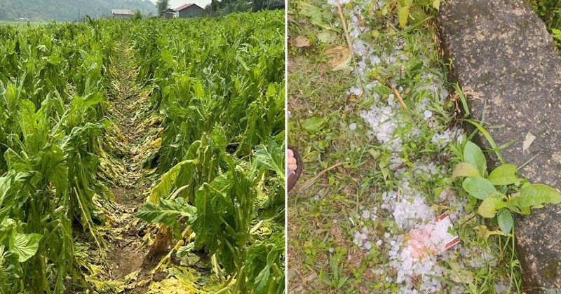 Cao Bằng đối phó thời tiết khắc nghiệt bằng 3 tổ công tác