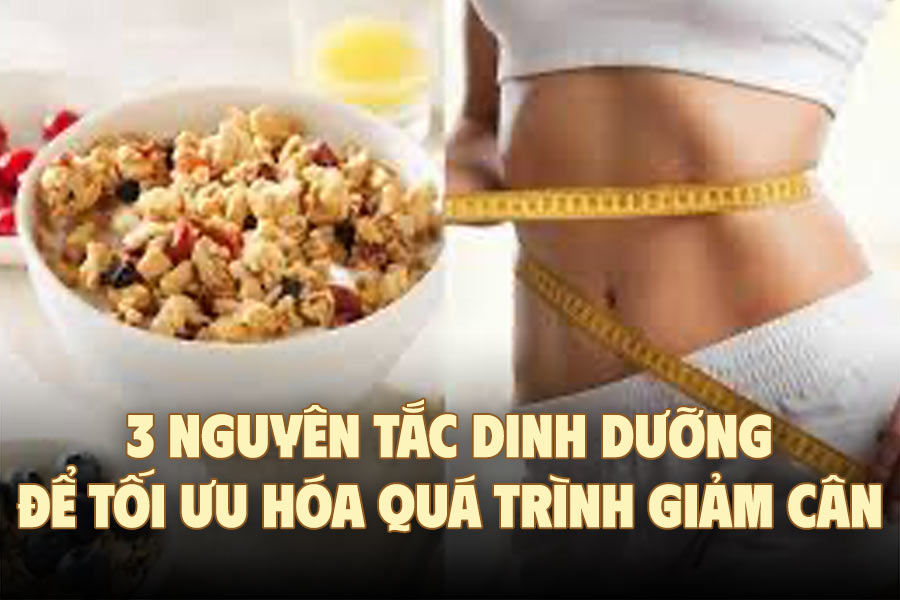 체중 감량 과정을 최적화하기 위한 3가지 영양 원칙
