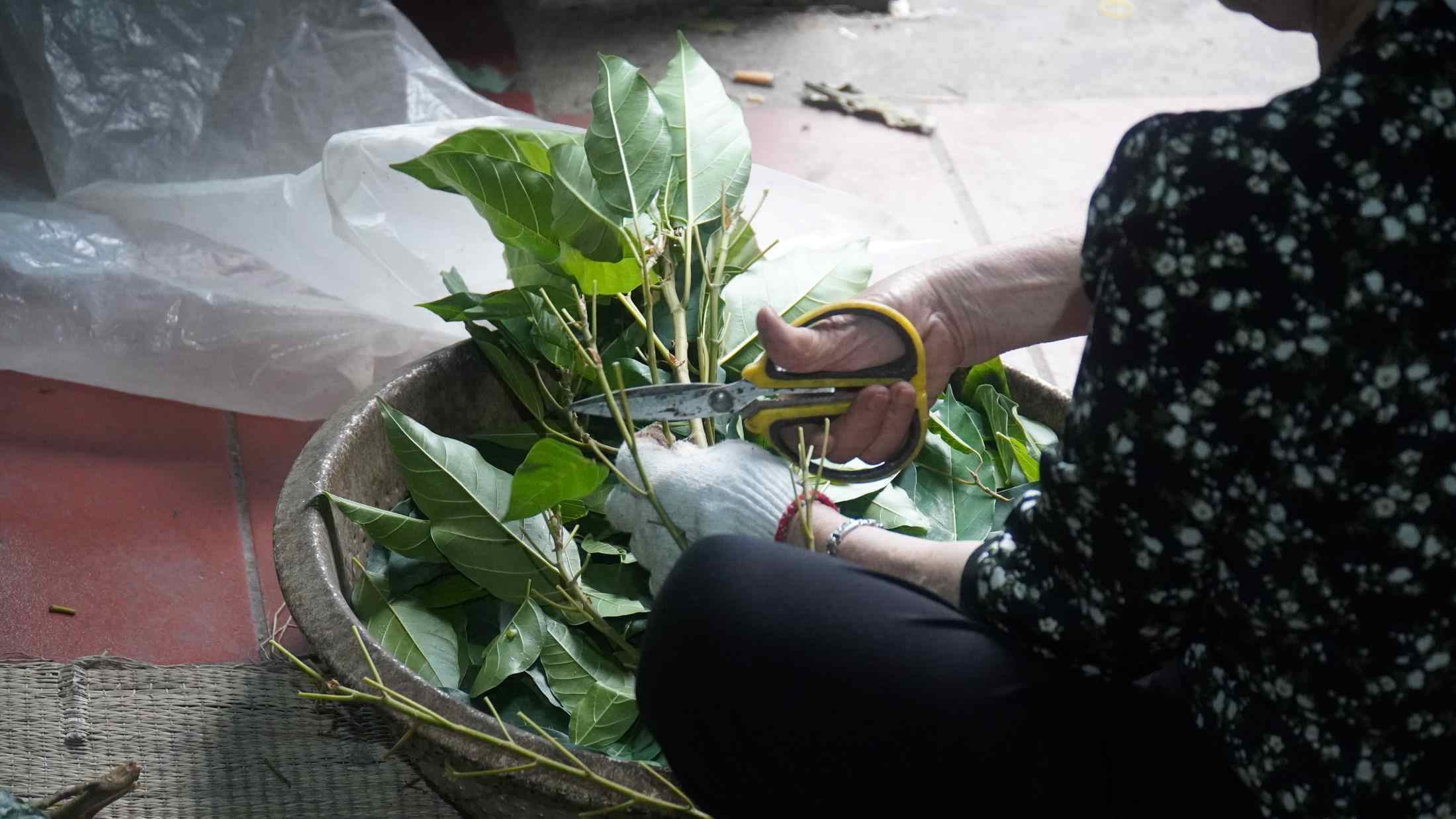 Mỗi công đoạn trong khâu sản xuất nem Bùi đều được làm rất tỉ mỉ và cẩn thận. Ảnh: Minh Vũ