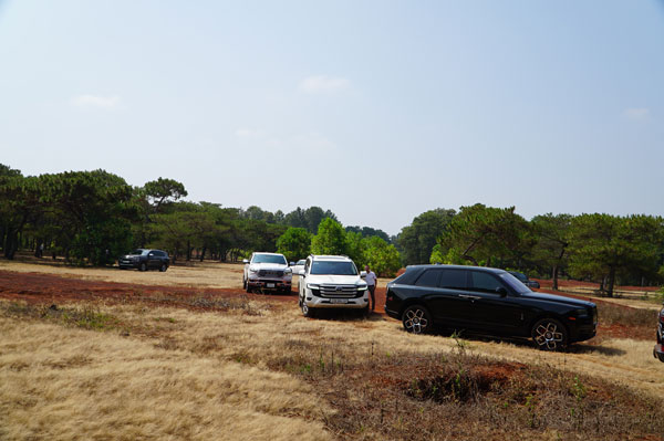 Pine forest area, where the Pleiku golf course project and resort villas will be implemented to attract tourists. Photo: Thanh Tuan