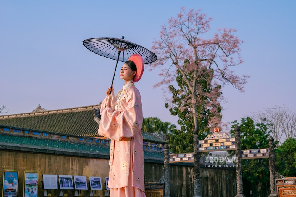 Nhiều bạn trẻ lựa chọn mặc cổ phục, ghi lại khoảnh khắc giữa không gian đậm chất cung đình, nơi hoa ngô đồng đang vào độ đẹp nhất.