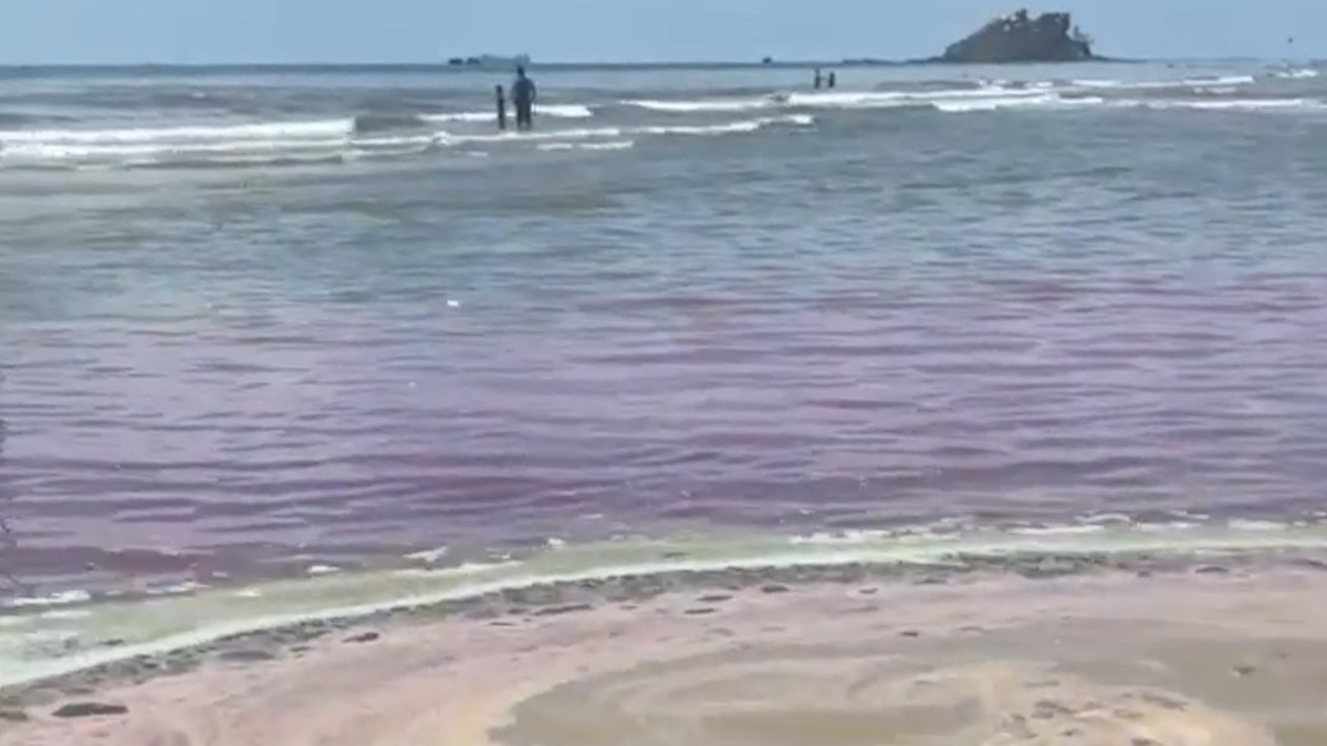 Một số nơi tảo chết nhiều sinh ra bọt và có mùi hôi, nước chuyển sang ánh tím. Ảnh: Thành An