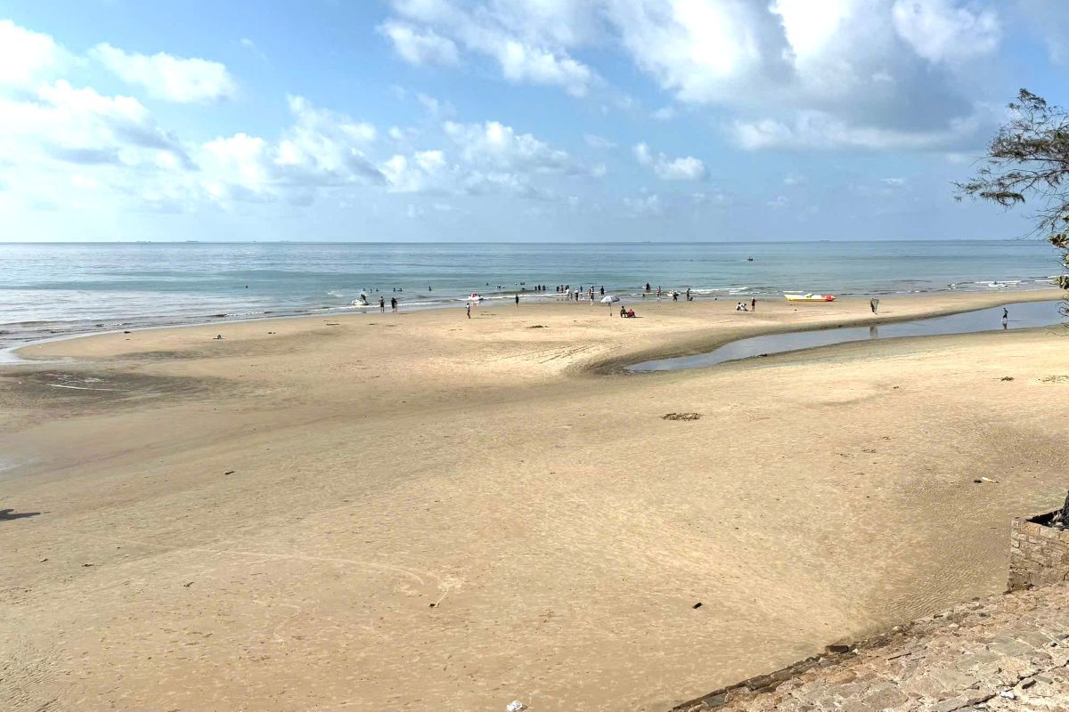 Vung Tau beach in many places has green color near the water's edge. Photo: Thanh An
