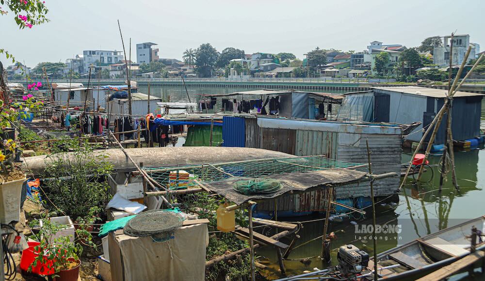 Một khung cảnh bình dị, hiếm thấy ngay gần trung tâm TP Huế.