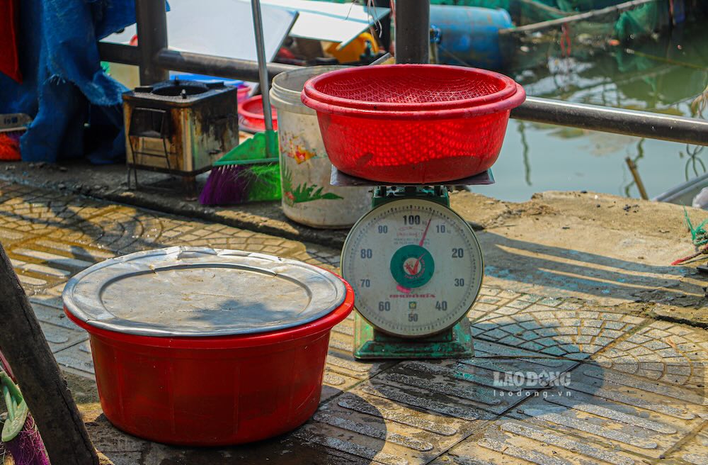 Dụng cụ cân, thau nhựa đặt ngay tại bến nước, phục vụ việc sơ chế, buôn bán cá sau khi đánh bắt.