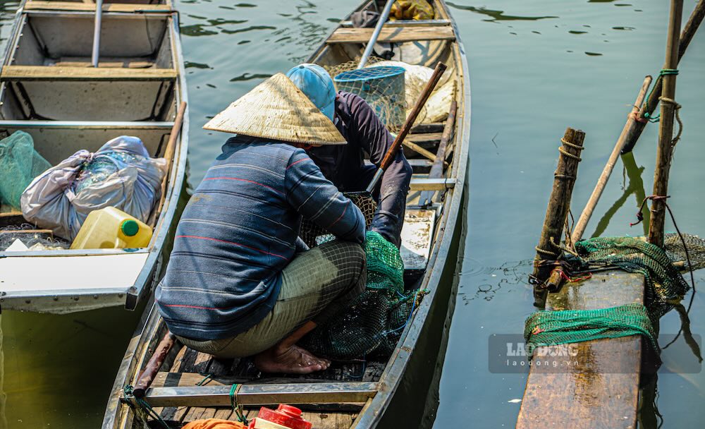 Người dân kiểm tra lưới, chăm sóc lồng bè, công việc diễn ra hằng ngày để duy trì nguồn thu từ nuôi cá.