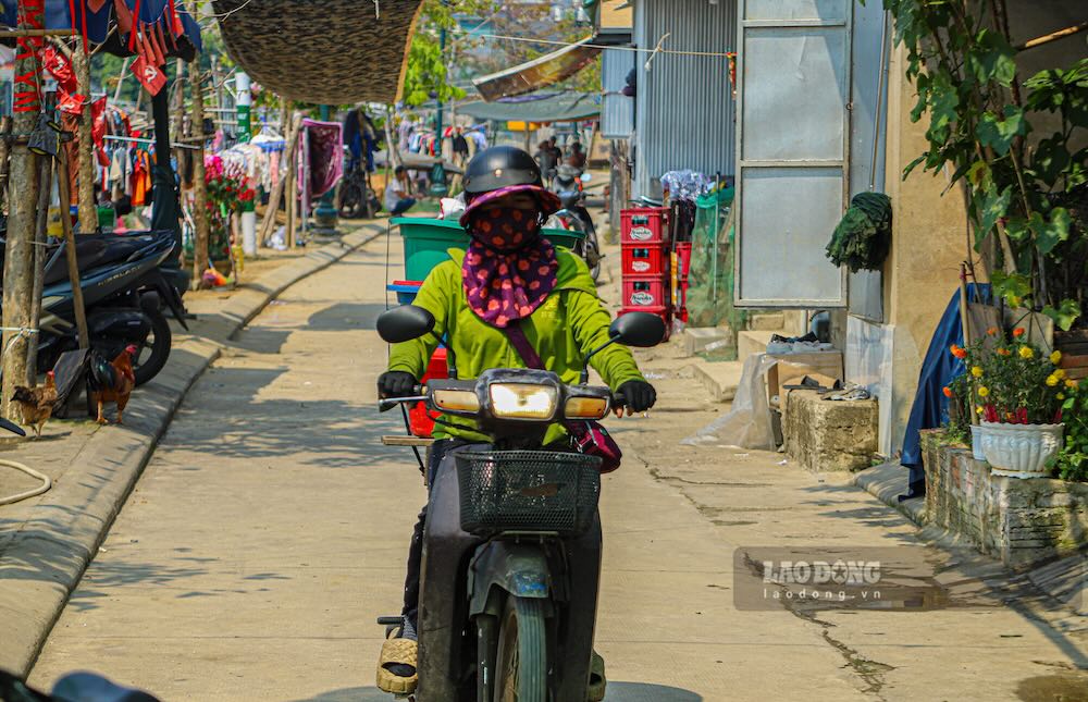 Cá được đưa đi tiêu thụ.