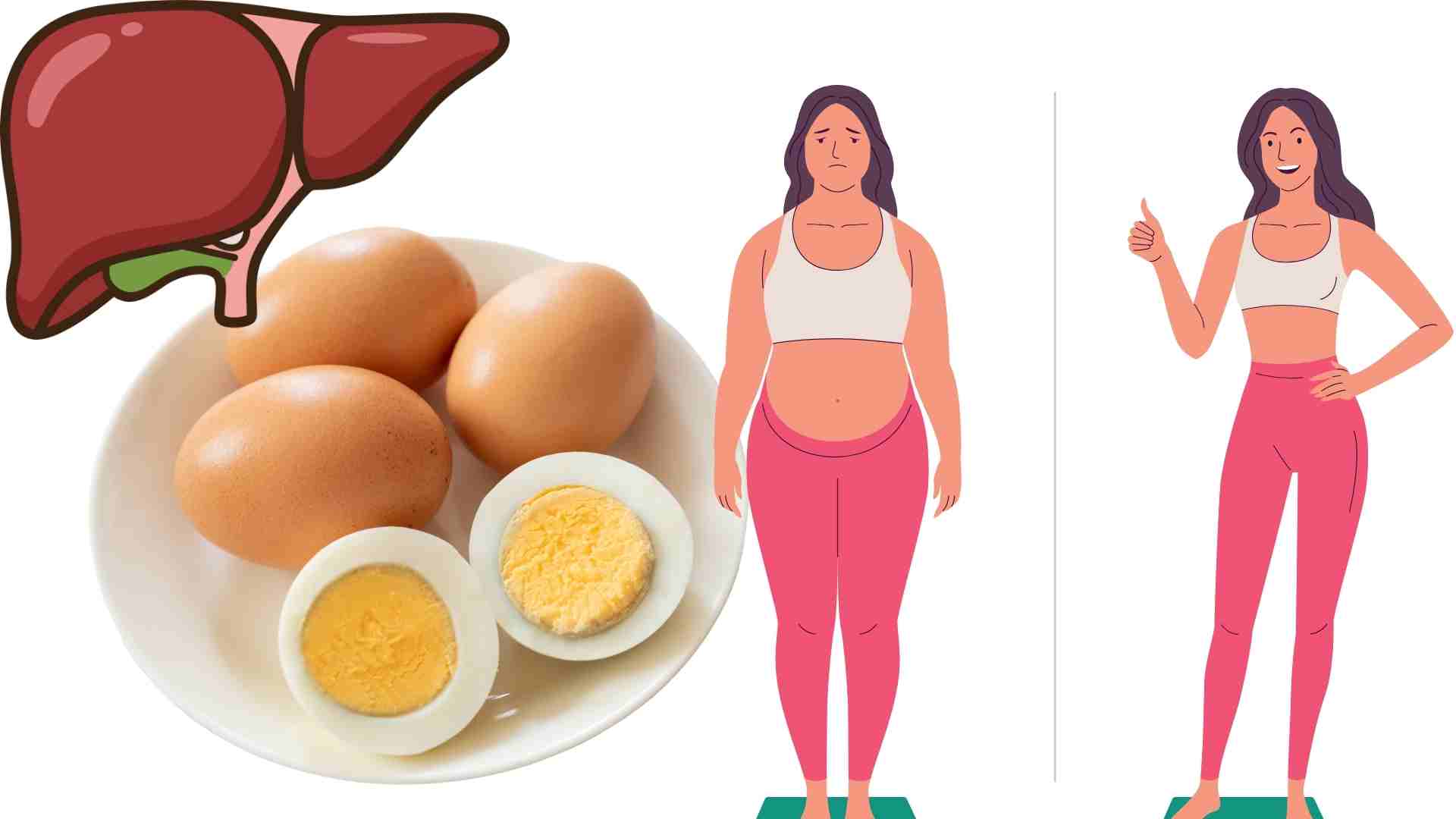 Eating 2 eggs in the morning helps reduce belly fat, good for the liver. Graphics: Ha May