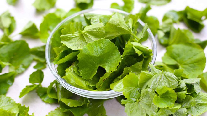 Pennywort when combined with some familiar foods will help effectively detoxify the liver. Graphic photo: Huong Son