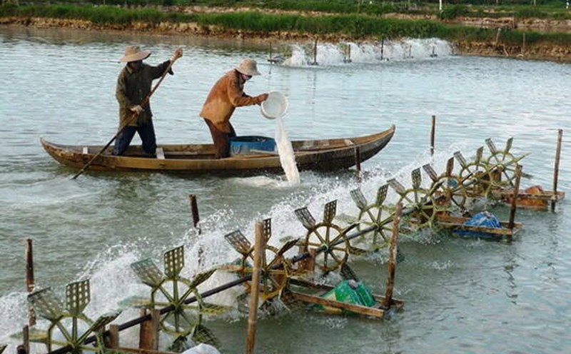 Exploiting the potential of reservoir aquaculture in a sustainable direction