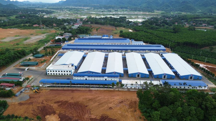 Phu Tho Provincial People's Committee has just issued a decision to establish Dam Duong Industrial Cluster in Dai Dong commune. Photo: Minh Nguyen