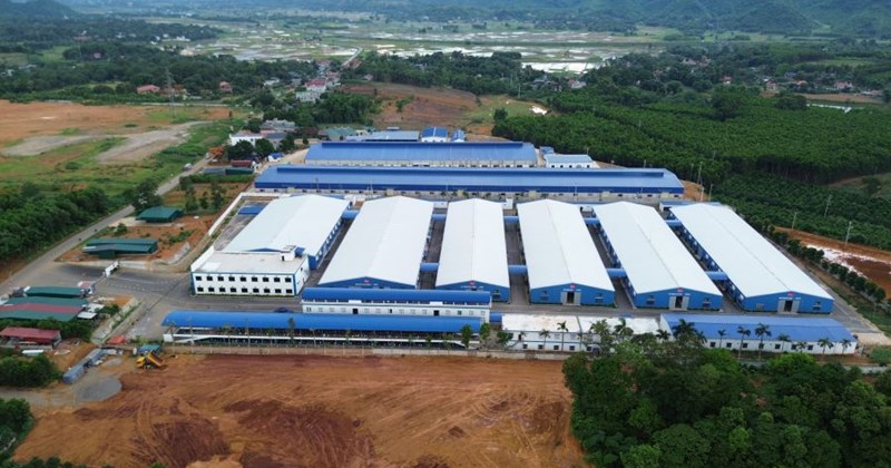 Phú Thọ: Cụm công nghiệp 580 tỷ đồng đối mặt nguy cơ, công nhân lo mất việc