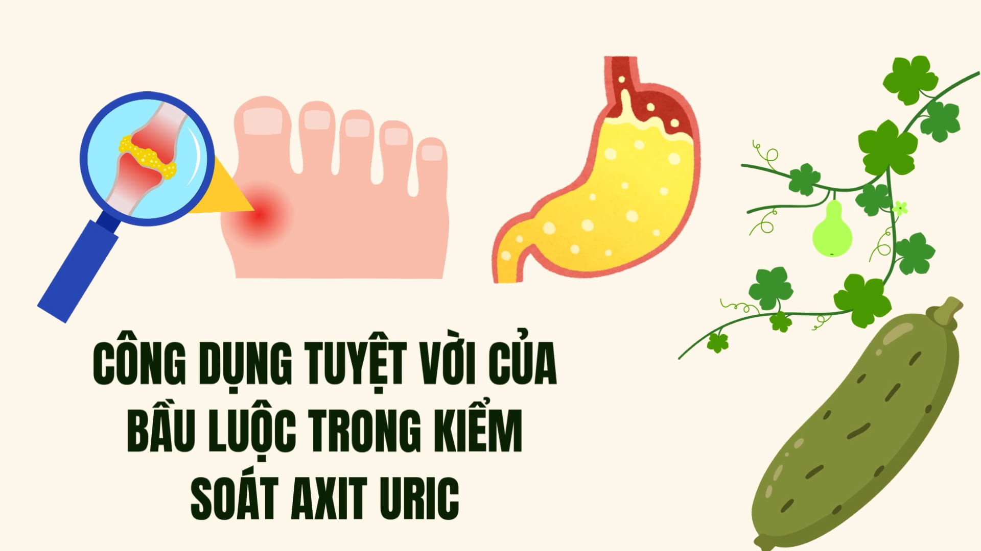 Amazing uses of boiled gourds in controlling uric acid