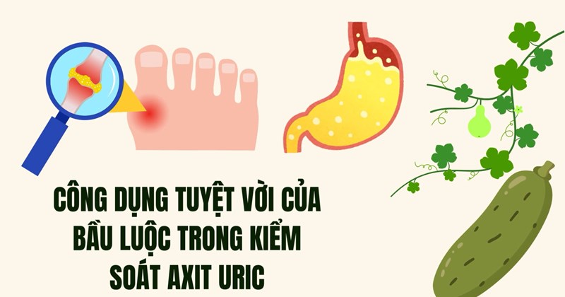 Bí đao luộc: Công dụng tuyệt vời trong kiểm soát acid uric