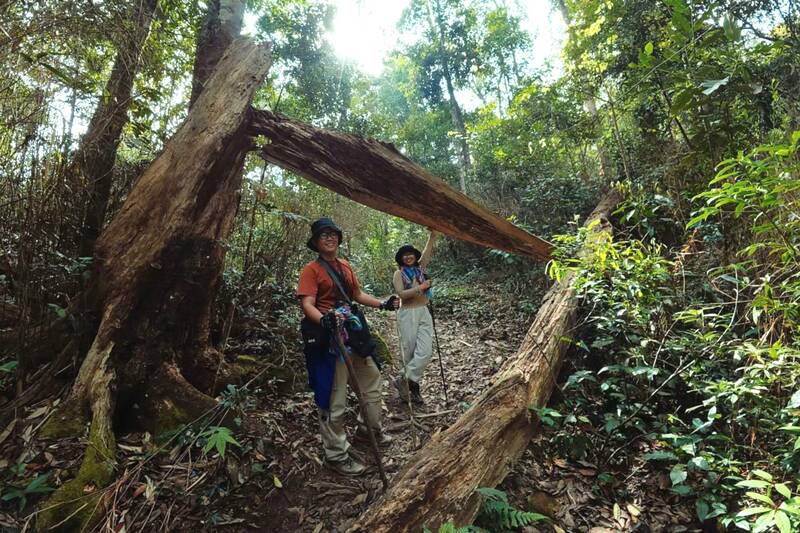 Cung đường leo lên đỉnh Pha Luông, xã Chiềng Sơn, tỉnh Sơn La với 6 km đường rừng. Ảnh: A Chà