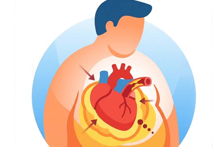 비만은 심혈관 건강을 은밀히 파괴할 수 있습니다