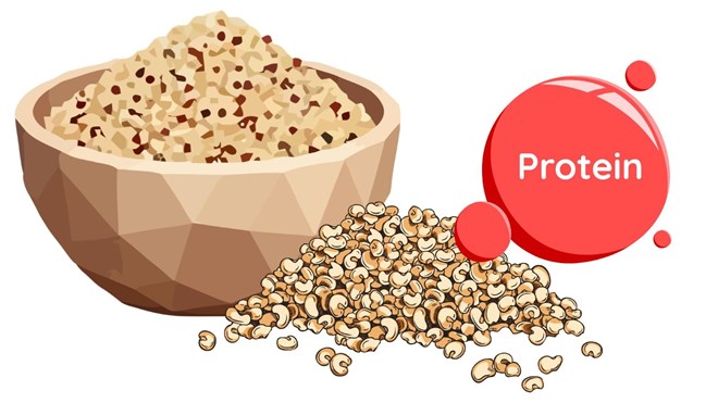 Thực phẩm và đồ uống giàu protein dễ bổ sung vào chế độ ăn hàng ngày